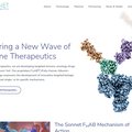Insider Trading Alert: A Detailed Analysis of Sonnet BioTherapeutics